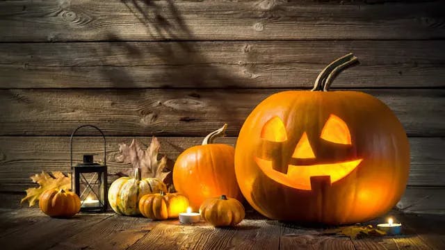 Don’t Get Spooked! Halloween is the Perfect Time to Review Your Renters Insurance
