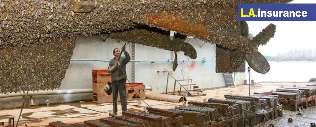 Damage of Invasive Species Damage of Invasive Species