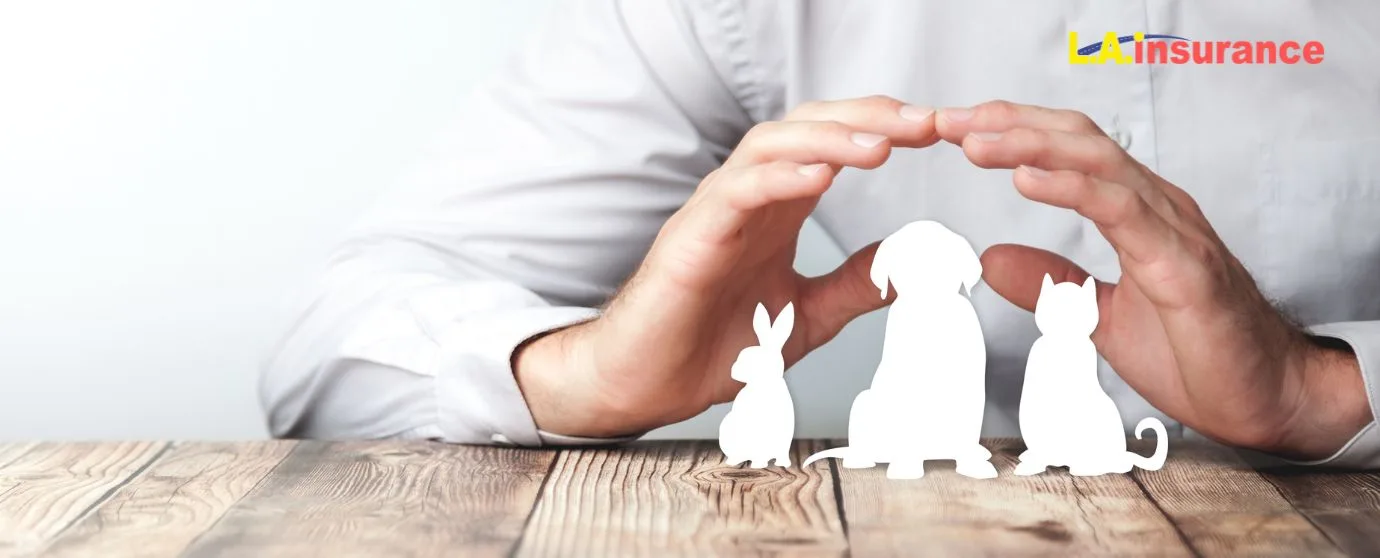 Does Renters Insurance Cover Pet Damage Does Renters Insurance Cover Pet Damage